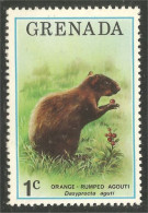 AS-102 Grenada Agouti MNH ** Neuf SC - Other & Unclassified