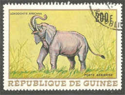 AS-100 Elephant Elefante Norsu Elefant Olifant - Eléphants