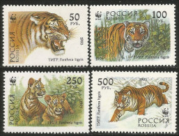 AS-97a Russie Tigre Tiger Tigger Félin Feline MNH ** Neuf SC - Felinos