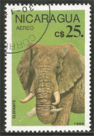 AS-77 Nicaragua Elephant Elefante Norsu Elefant Olifant - Elefanti