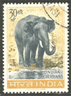 AS-71 India Elephant Elefante Norsu Elefant Olifant - Elefanten