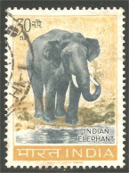 AS-70 India Elephant Elefante Norsu Elefant Olifant - Elephants