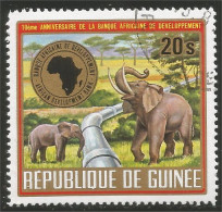 AS-67 Guinée Elephant Elefante Norsu Elefant Olifant - Elephants