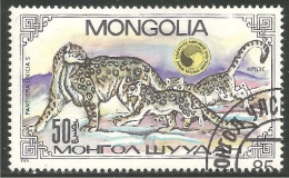 AS-47 Mongolie Snow Leopard Neiges Leopardo Schneeleopard Sneeuwluipaard - Otros & Sin Clasificación