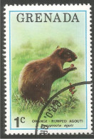 AS-40d Grenada Agouti Aguti - Other & Unclassified