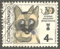AS-24 Ceskoslovenko Chat Cat Katze Gatto Gato Kat - Gatos Domésticos
