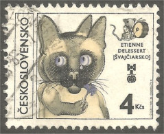 AS-24 Ceskoslovenko Chat Cat Katze Gatto Gato Kat - Chats Domestiques