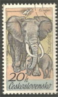 AS-3 Ceskoslovenko Elephant Elefante Norsu Elefant Olifant - Elephants