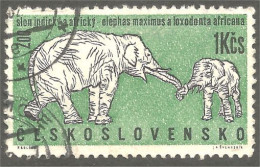 AS-2 Ceskoslovenko Elephant Elefante Norsu Elefant Olifant - Olifanten