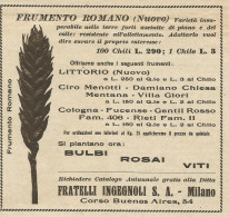 Frumento Romano - F.lli Ingegnoli - Pubblicità 1935 - Advertising - Pubblicitari