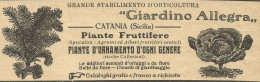 Stabilimento Orticoltura Giardino Allegro_Catania - Pubblicità 1934 - Adv. - Advertising