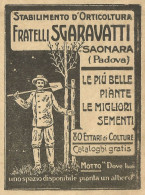 Stabilimento Orticoltura F.lli Sgravatti - Pubblicità 1934 - Advertising - Publicités