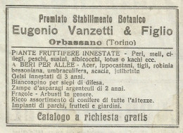 Stabilimento Botanico Vanzetti_Orbassano - Pubblicità 1934 - Advertising - Publicités