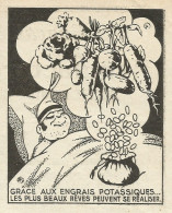 Engrais Potassiques - Pubblicità 1934 - Advertising - Publicités