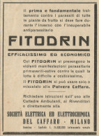 Società Elettrochimica Del Caffaro_Fitodrin - Pubblicità 1936 - Advertis. - Publicités