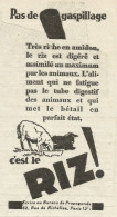Pas De Gaspillage C'est RIZ - Pubblicità 1934 - Advertising - Advertising