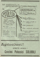 La Potassa - Concimi Potassici S.A. - Pubblicità 1930 - Advertising - Advertising