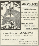 Insetticida MONITAL - Pubblicità 1934 - Advertising - Advertising