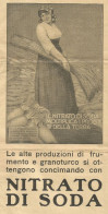 Nitrato Di Soda - Concime - Pubblicità 1930 - Advertising - Advertising