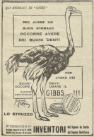 Gli Animali Di GIBBS - Lo Struzzo - Pubblicità 1924 - Advertising - Advertising
