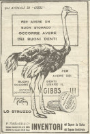 Gli Animali Di GIBBS - Lo Struzzo - Pubblicità 1924 - Advertising - Publicités