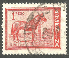 CH-4 Argentina Cheval Horse Pferd Caballo Cavallo Paard - Horses