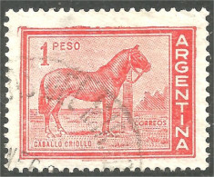 CH-3 Argentina Cheval Horse Pferd Caballo Cavallo Paard - Caballos