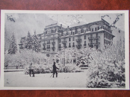 74 - CHAMONIX - MONT-BLANC - Chamonix Palace En Hiver. (rare) - Chamonix-Mont-Blanc