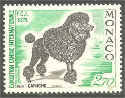 DG-48 Monaco Caniche Poodle Chien Dog Hund Cane Hond Perro MNH ** Neuf SC - Hunde