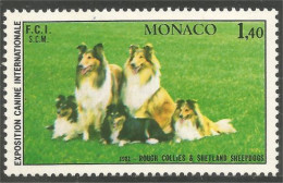 DG-40 Monaco Rough Collie Shetland Chien Dog Hund Cane Hond Perro MNH ** Neuf SC - Hunde