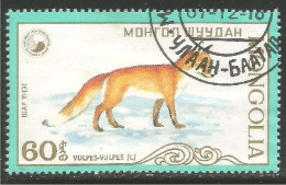 DG-32 Mongolie Renard Fox Fuchs Volpe Raposa Zorro Vos - Cani