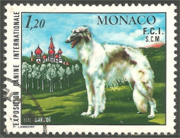 DG-38 Monaco Barzoi Chien Dog Hund Cane Hond Perro - Autres & Non Classés