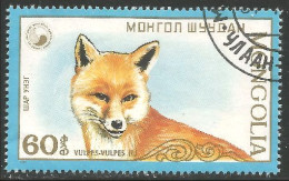 DG-33 Mongolie Renard Fox Fuchs Volpe Raposa Zorro Vos - Hunde