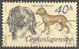 DG-6 Ceskoslovenko Bavarian Chien Dog Hund Cane Hond Perro - Perros