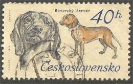 DG-5 Ceskoslovenko Bavarois Chien Dog Hund Cane Hond Perro - Hunde