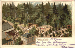 Pelzmühle Bei Siegmar- Litho Chemnitz - Chemnitz