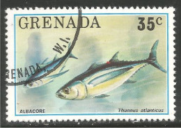 FI-77a Grenada Thon Albacore Tuna Tonijn Thunfisch Tonno Atun Atum - Fische