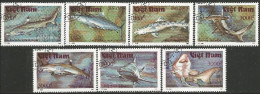 FI-72b Vietnam Requins Sharks Poisson Fish Fisch Pesce Pescado Peixe Vis - Fishes