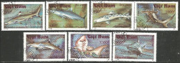 FI-72a Vietnam Requins Sharks Poisson Fish Fisch Pesce Pescado Peixe Vis - Viêt-Nam