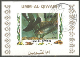 FI-64b Um Al Qiwain Feuillet Poisson Fish Fisch Pesce Pescado Peixe Vis Sheet - Maritiem Leven