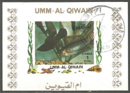 FI-64a Um Al Qiwain Feuillet Poisson Fish Fisch Pesce Pescado Peixe Vis Sheet - Vissen