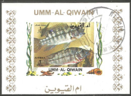 FI-66a Um Al Qiwain Feuillet Poisson Fish Fisch Pesce Pescado Peixe Vis Sheet - Vissen