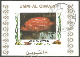 FI-63b Um Al Qiwain Feuillet Poisson Fish Fisch Pesce Pescado Peixe Vis Sheet - Marine Life