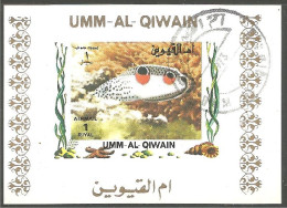 FI-65b Um Al Qiwain Feuillet Poisson Fish Fisch Pesce Pescado Peixe Vis Sheet - Marine Life