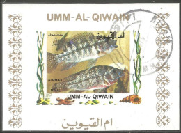 FI-66b Um Al Qiwain Feuillet Poisson Fish Fisch Pesce Pescado Peixe Vis Sheet - Vie Marine