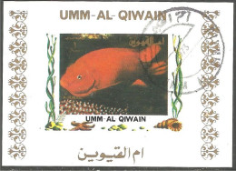 FI-61b Um Al Qiwain Feuillet Poisson Fish Fisch Pesce Pescado Peixe Vis Sheet - Meereswelt