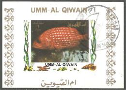 FI-63a Um Al Qiwain Feuillet Poisson Fish Fisch Pesce Pescado Peixe Vis Sheet - Pesci