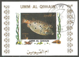 FI-58b Um Al Qiwain Feuillet Poisson Fish Fisch Pesce Pescado Peixe Vis Sheet - Vie Marine