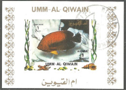 FI-59b Um Al Qiwain Feuillet Poisson Fish Fisch Pesce Pescado Peixe Vis Sheet - Maritiem Leven