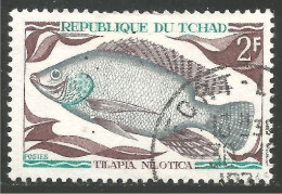 FI-50 Tchad Poisson Fish Fisch Pesce Pescado Peixe Vis - Fische